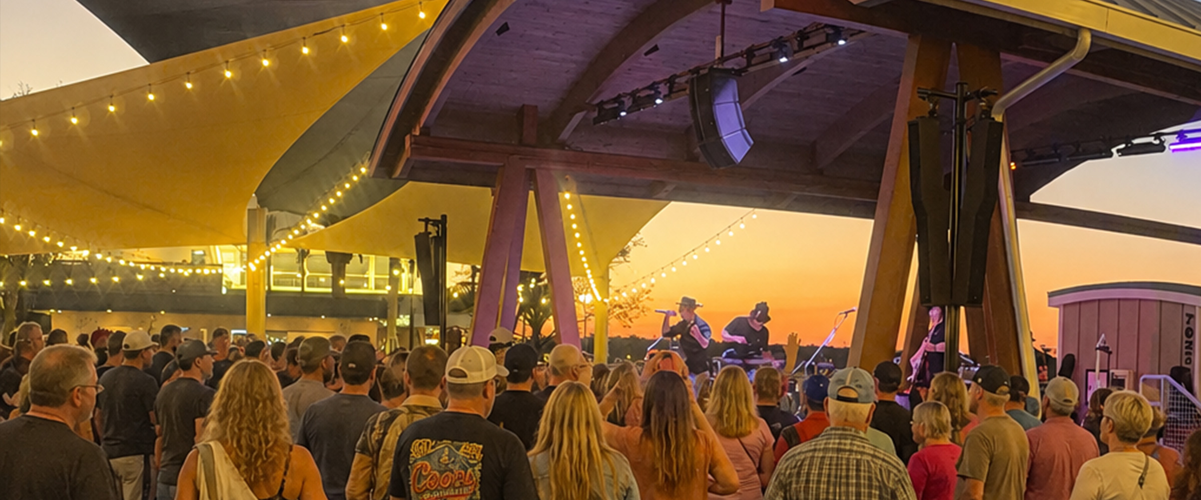 The Voodoo Gypsies in live performance.
